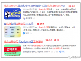 财务网站,公司注册,代理记账相关业务,该怎么做百度SEO更合适?