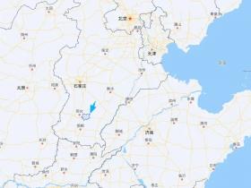 王宝强老家的“财富密码”:在宠物身上,一年赚两百亿