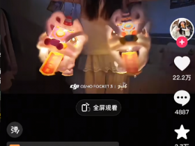 卖新年灯笼,春节前一个月月入万元