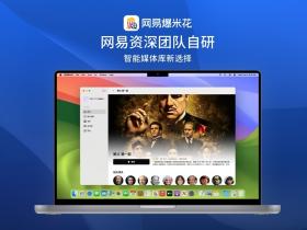 网易爆米花:免费将网盘打造成影视库播放器