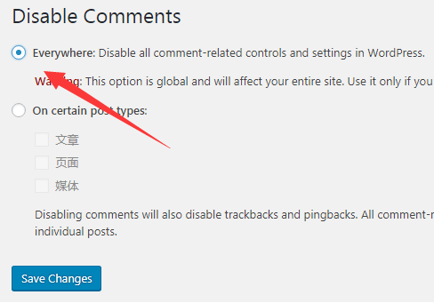 Disable Comments：关闭所有文章评论WordPress插件