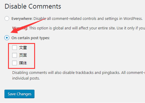 Disable Comments：关闭所有文章评论WordPress插件