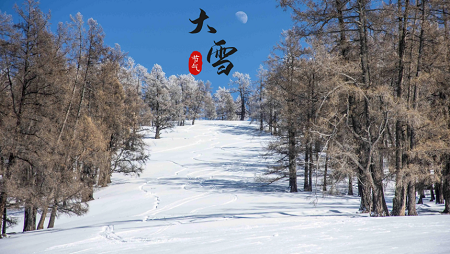 今日大雪节气：阅尽世间繁华，不如踏雪归​家