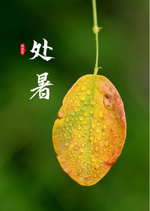 今日处暑节气：离离暑云散，袅袅凉风起