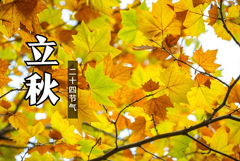 今日立秋节气：岁月忽晚，人间已秋