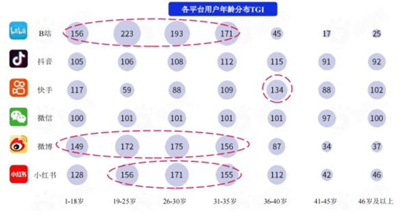 盘点各大新媒体平台用户及平台调性和引流变现的思路