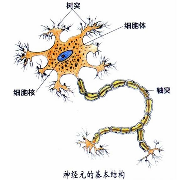 世界上被证明最有效率的四个学习方法