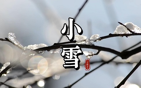 今日小雪节气：花雪随风不厌看，一片飞来一片寒