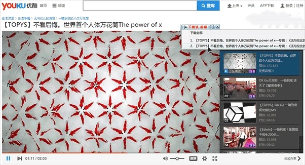 IDM：经典好用优秀的 Windows 多线程加速下载软件
