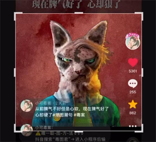 “毒文案”抖音短视频制作教程 “毒文案”抖音短视频制作教程-图片4