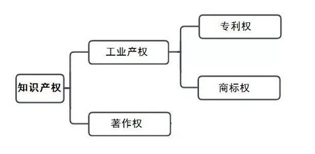 用知识产权保护项目，构建产品的护城河