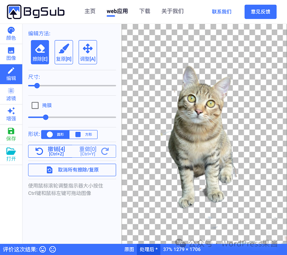 BgSub：免费好用的在线 AI 抠图工具