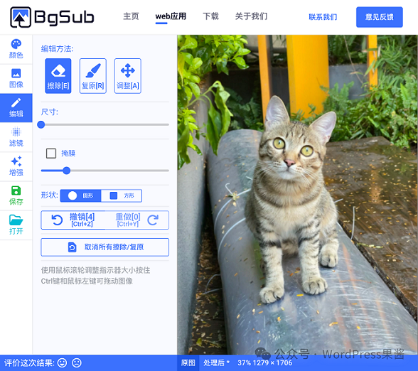 BgSub：免费好用的在线 AI 抠图工具