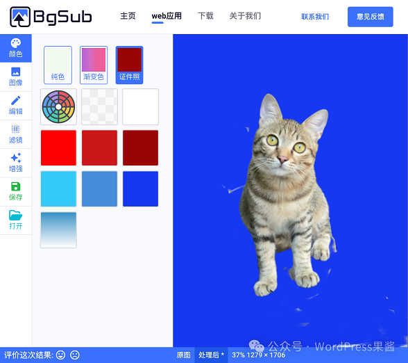 BgSub：免费好用的在线 AI 抠图工具