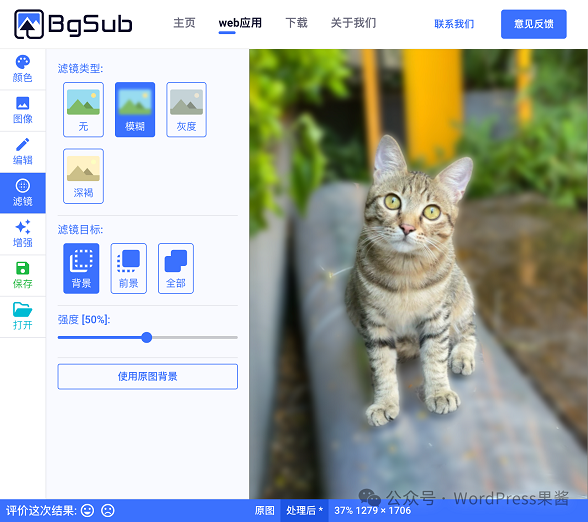 BgSub：免费好用的在线 AI 抠图工具