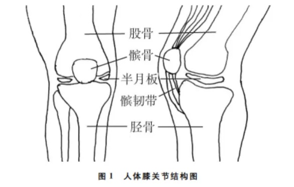 这些行为真的伤膝！坚持这些习惯，让膝盖老得慢一些