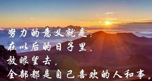 我所有努力的意义，不过是为了更自由的活着