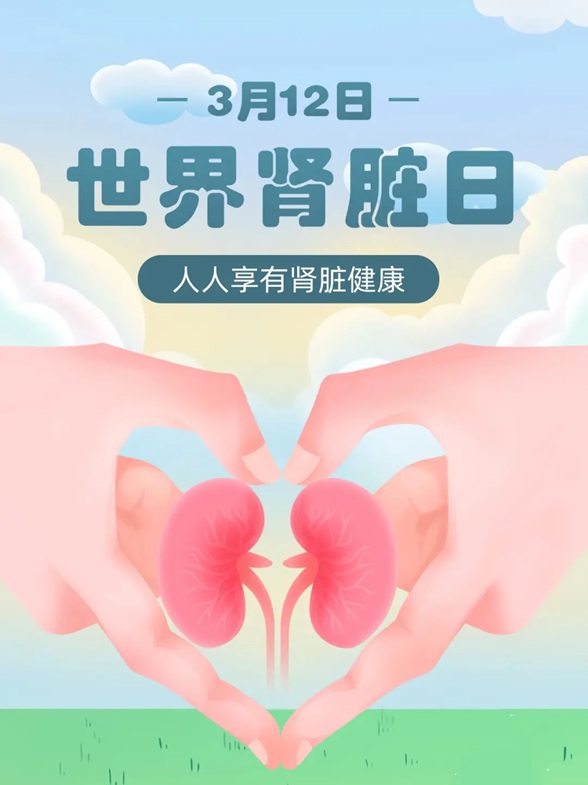 世界肾脏日:关于肾脏健康,别再一无所知 世界肾脏日:关于肾脏健康,别再一无所知