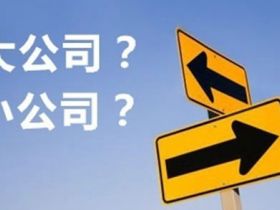 大公司 VS 小公司，毕业后到底该怎么选？