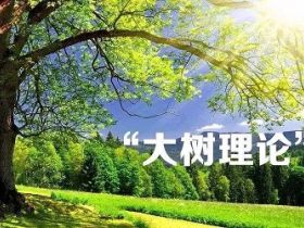 大树理论：分享给那些追求成功却浮躁的年青人