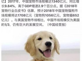 抖音宠物项目让自己轻松月入过万