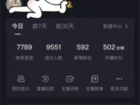 抖音快手撸音浪教程，小白亦可一天200+