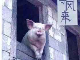 经济越萧条，机会越多！（信息量很大）