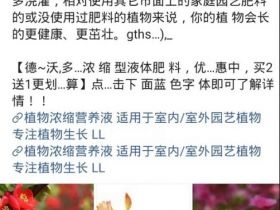 今日头条怎么赚钱？四种主流变现方式