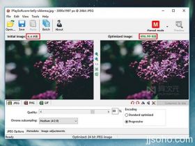 RIOT 与 ImageOptim：两款好用的免费图片优化无损压缩工具