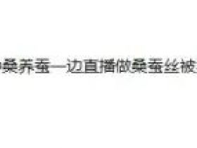 网络交易新规来了！整治仅退款、恶意低价
