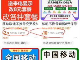 手机套餐帮修改，日入200+的信息差项目