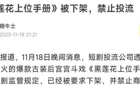 爽就完事！火遍中国，冲向全球，土味短剧，日赚1亿！