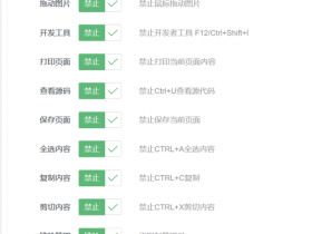WPCopyRights：功能最齐全的防复制WordPress插件