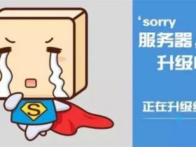 WordPress站点维护模式纯代码教程