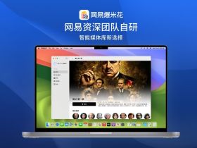 网易爆米花：免费将网盘打造成影视库播放器