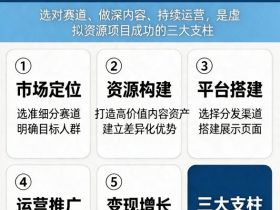 如何成功打造一个虚拟资源项目?