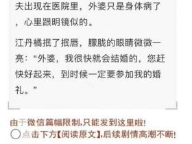 小说分销CPS项目深度解析，长期稳定月入过万