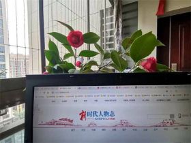 医疗软文这么撰写，广告费用起码省下80%？