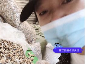 烟头真的可以回收吗？烟头回收项目大揭秘！