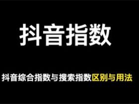 做抖音关键词综合排名，综合指数与搜索指数以哪个为准