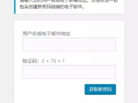 WordPress教程：用户找回密码页面添加验证码