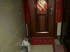 自家门口放垃圾，犯法吗？