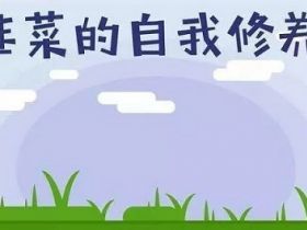 资金盘解析：你为什么会亏钱，那是因为你的认知不够