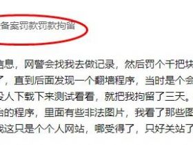 知名编程技术分享网站（联合开发）被罚款50万