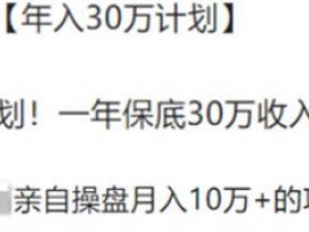 年薪30万的招聘合伙人项目